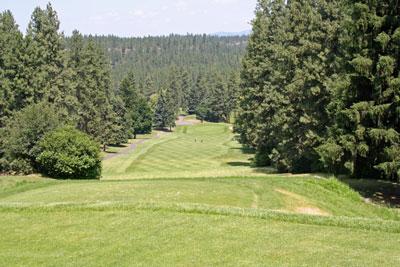 An elevated tee down a narrow chute awaits you at the first tee at Indian Canyon