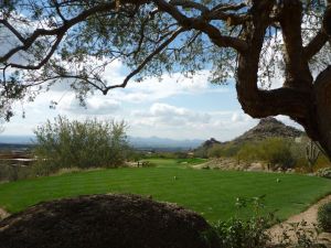 Desert Highlands 16th Tree