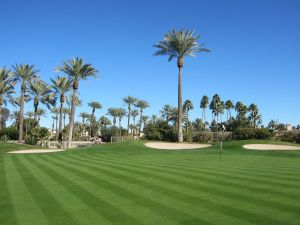 Phoenician (Oasis) 1st Green