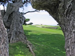 Cypress Point 17th Trees