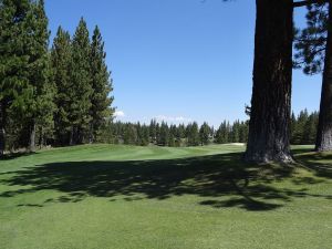 Lahontan 9th Trees