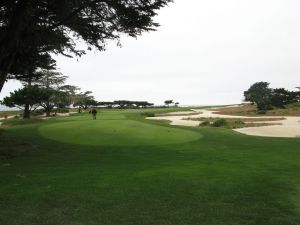 MPCC (Shore) 15th Tree