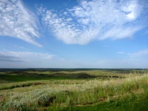 Ballyneal 1st View