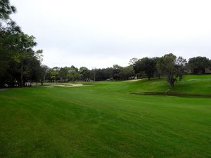 Innisbrook (Copperhead) 14th Fairway