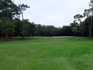 Innisbrook (Copperhead) 2nd Fairway