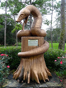 Innisbrook (Copperhead) Snake Pit