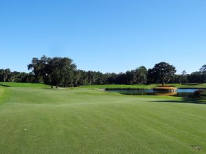 TPC Sawgrass (Stadium) 16th Island