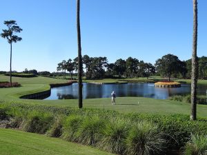 TPC Sawgrass (Stadium) 17th Bushes