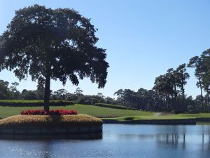 TPC Sawgrass (Stadium) 17th Side