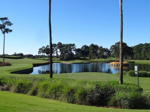 TPC Sawgrass (Stadium) 17th Trees