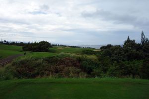 Kapalua (Plantation) 12th Tips