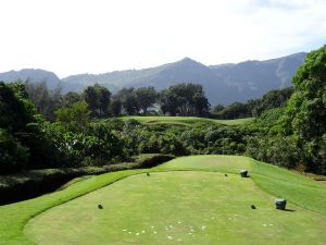 Kauai Lagoons (Mauka) 5th Tee