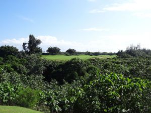 Kauai Lagoons (Mauka) 6th Jungle