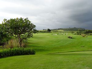 Kukuiula 10th Tree