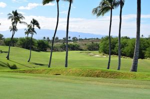 Mauna Kea 10th Trees