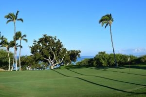 Mauna Kea 1st Green