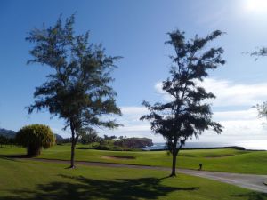 Poipu Bay Green