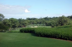 Wailea (Gold) 4th Bushes