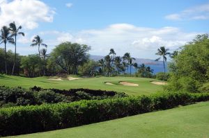 Wailea (Gold) 8th Bushes