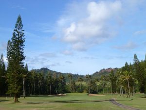 Wailua 3rd Tree