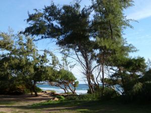 Wailua Coast Off 1st Hole