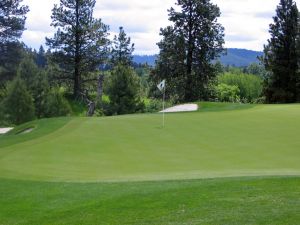 Circling Raven 12th Green