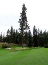 Gozzer Ranch 12th Tree Vertical 2013