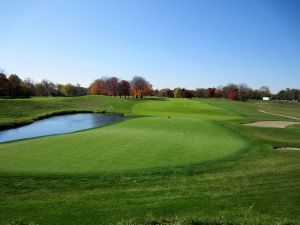 Crooked Stick 16th Back