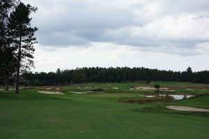 Forest Dunes 8th Fairway