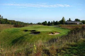 Kingsley 9th Fescue