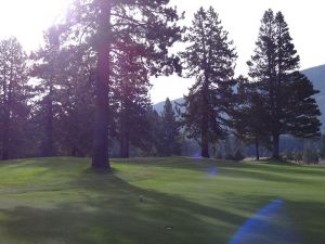 Edgewood Tahoe 11th Tree