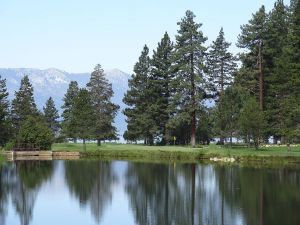 Edgewood Tahoe 14th Green