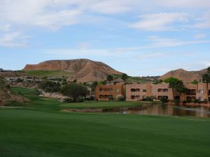 Oasis (Palmer) 8th Fairway 2017