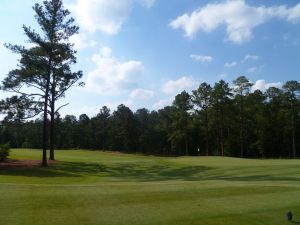 Forest Creek (North) 8th Back