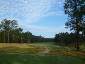 Pine Needles 14th