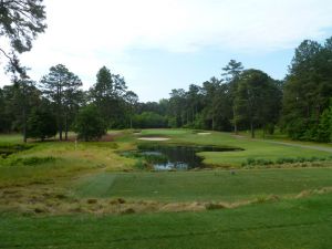 Pine Needles 3rd Tee