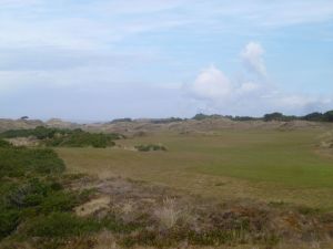 Bandon Dunes 5th Plants