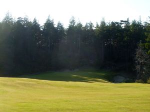 Bandon Trails 13th Trees