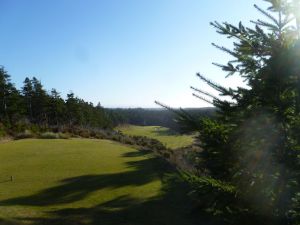 Bandon Trails 14th Tee Tree