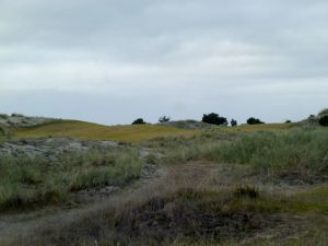 Bandon Trails 18th Fescue