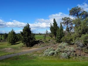 Juniper 11th Tee