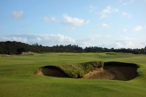 Old Macdonald 10th Bunker 2016