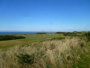 Pacific Dunes 3rd Fescue