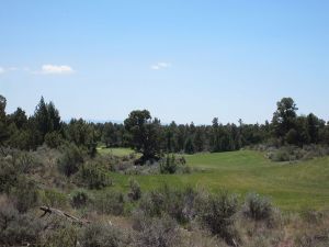 Pronghorn (Fazio) 15th