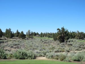 Pronghorn (Nicklaus) 6th