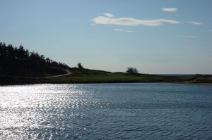 Crowbush 16th Tee