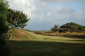 Royal Isabela 16th Tee