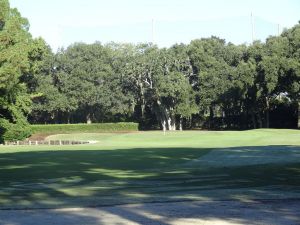 Harbour Town 8th Fairway