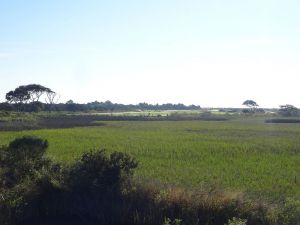 Kiawah Island (Ocean) 4th Tips