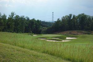 Potomac Shores 11th Fescue